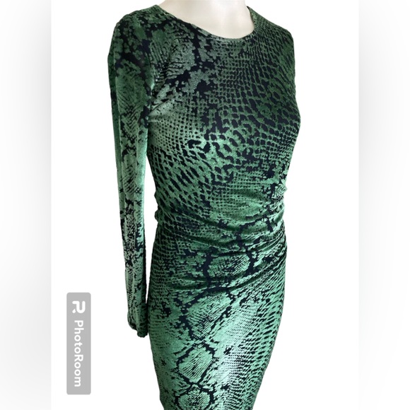 Fuzzi Shimmering Snakeskin Snake Python Print Long Sleeve Stretch Velvet Dress M - Picture 5 of 8